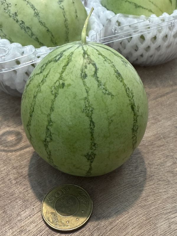 [果肉紅潤皮薄脆甜]台灣MINIBALL小西瓜 台灣MINIBALL小西瓜