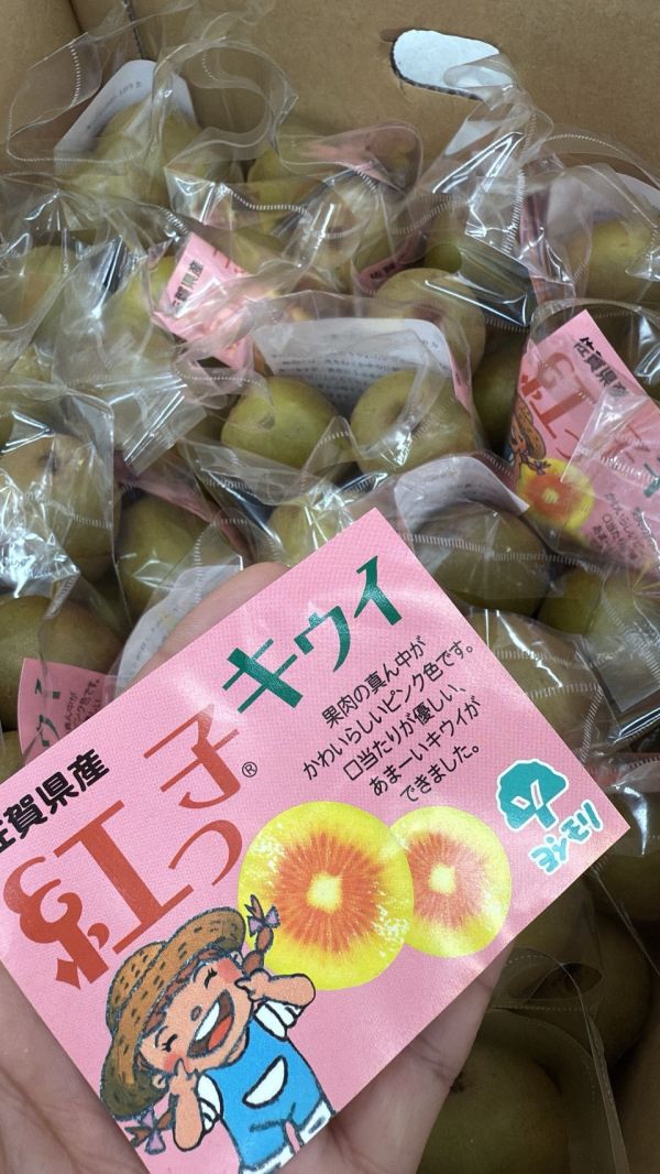 [營養滿滿]佐賀紅心奇異果 佐賀紅心奇異果