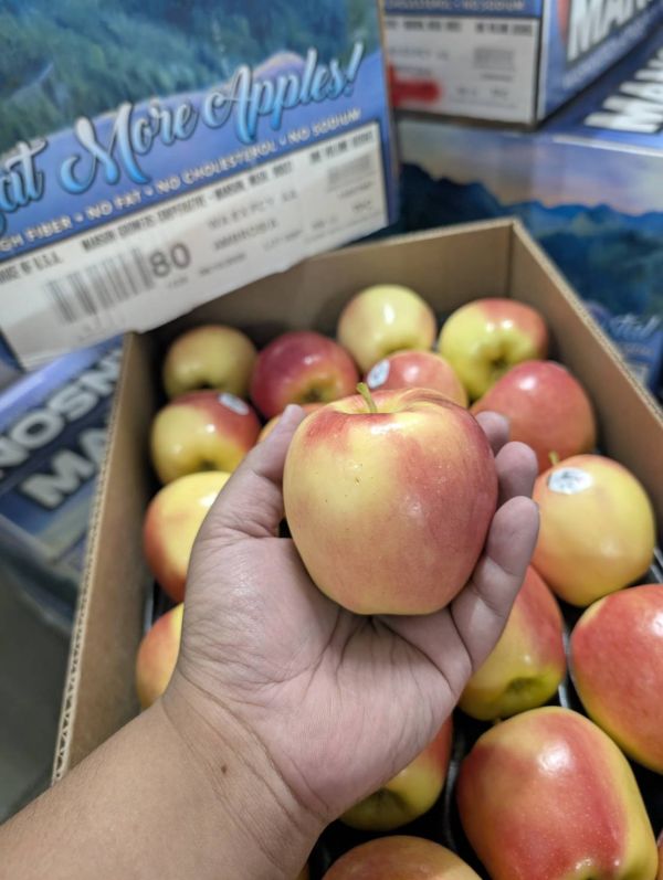 [紅潤爽脆甘甜不酸]美國金星牛奶蘋果 美國金星牛奶蘋果