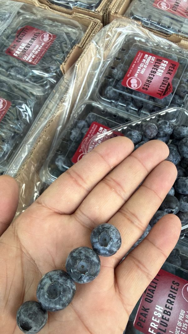[甜酸均衡香氣佳]祕魯中果藍莓 Peru Blueberries 藍莓,祕魯中果藍莓,花青素