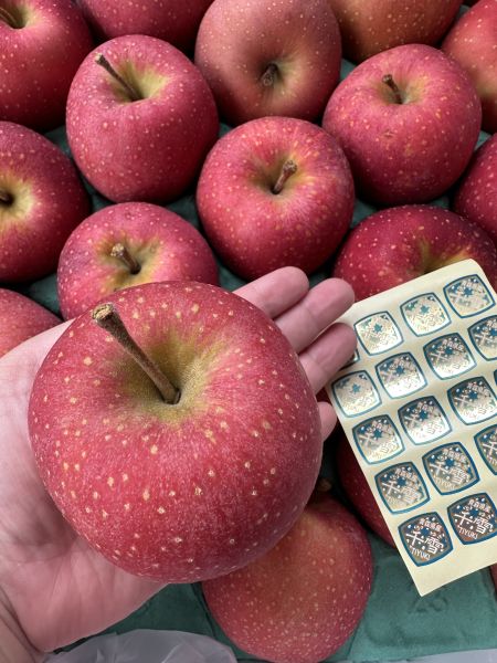 [綿密芳香甘甜不酸]日本青森千雪蘋果 日本青森千雪蘋果