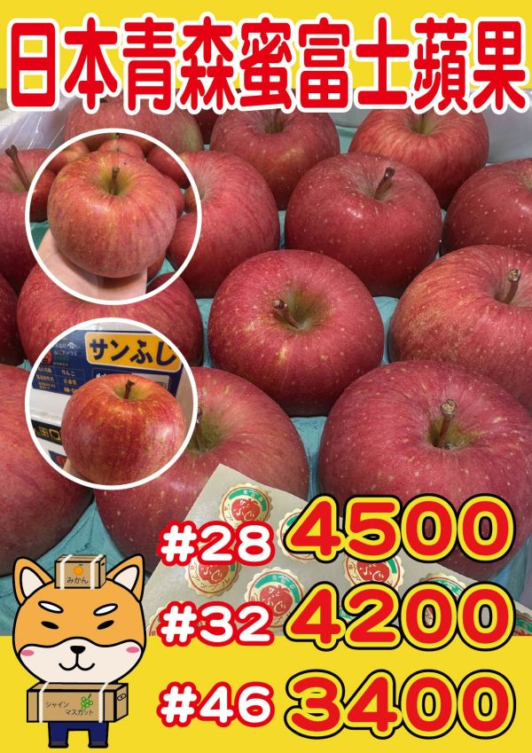 [紅潤爽脆甘甜不酸]日本青森蜜富士蘋果 日本青森蜜富士蘋果