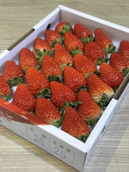 [馨香甘甜]日本德島眉山紅臉頰煉乳草莓 [馨香甘甜]日本德島眉山紅臉頰煉乳草莓