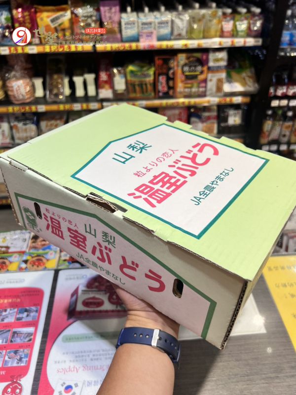 [香甜微酸無籽水潤][整箱禮盒]日本山梨香檳珍珠葡萄 德拉瓦葡萄 デラウェア 日本山梨香檳珍珠葡萄,德拉瓦葡萄,デラウェア,麝香葡萄,貓眼葡萄