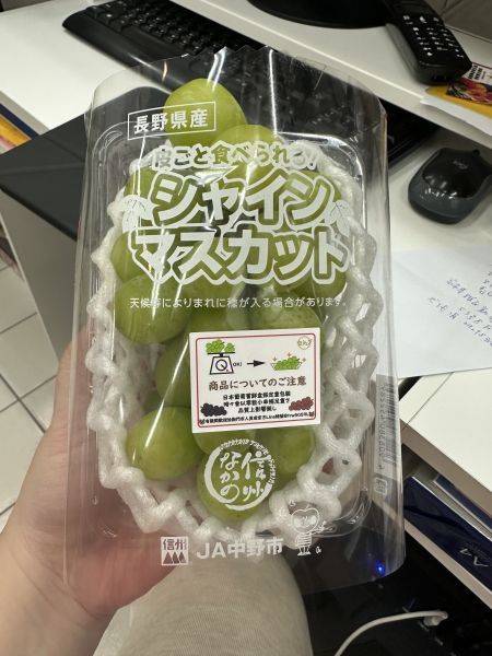 [香氣清新風味甘甜][嚐鮮盒]日本長野麝香葡萄 シャインマスカット 日本長野麝香葡萄嚐鮮盒