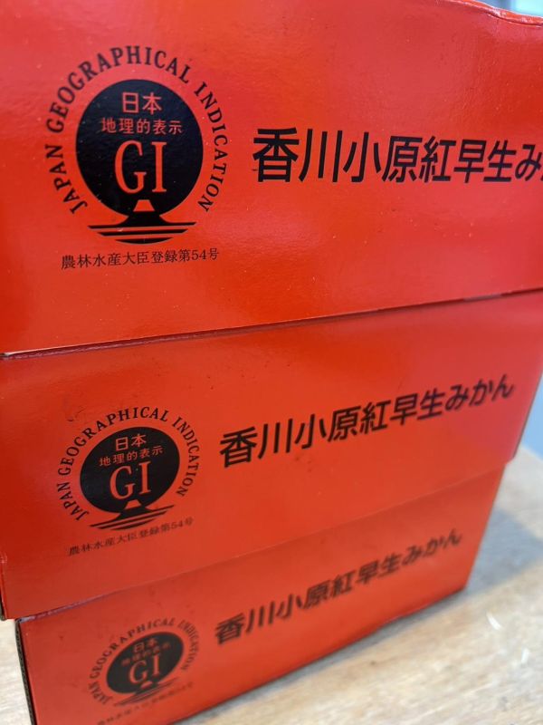 [清甜爽口香氣][禮盒式]日本香川縣小原紅蜜柑 蜜柑