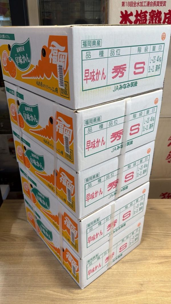 [皮薄好剝]日本福岡早生蜜柑嚐鮮盒 蜜柑 砂糖橘