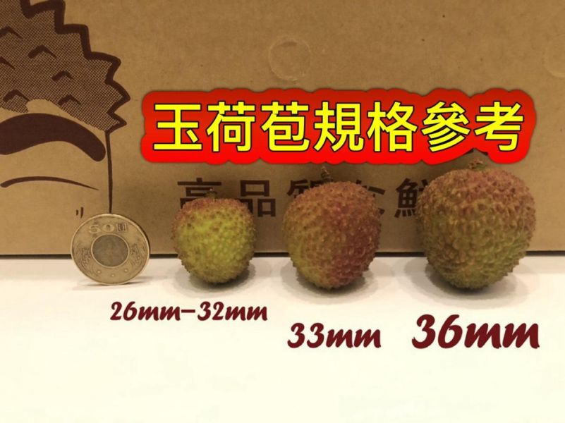 [香甜水潤][禮盒式]大樹貴妃玉荷苞 玉荷包 荔枝 大樹貴妃玉荷苞