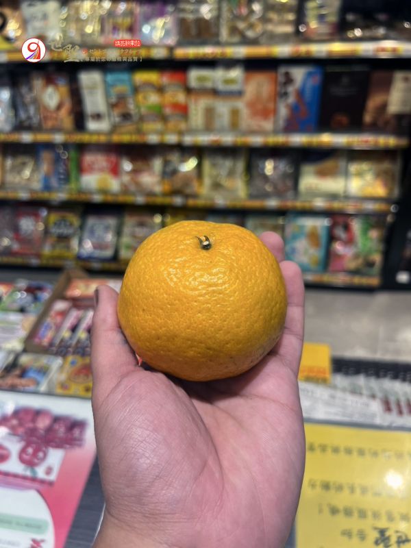 [甜酸濃郁]台南東山李仔園椪柑 橘子 橘子,椪柑,台灣橘子
