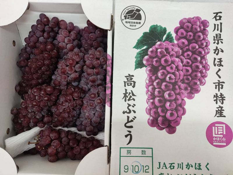[Q彈水潤甘甜微酸][嚐鮮盒]日本石川珍珠葡萄 デラウェア 珍珠葡萄 德拉瓦葡萄 日本石川珍珠葡萄