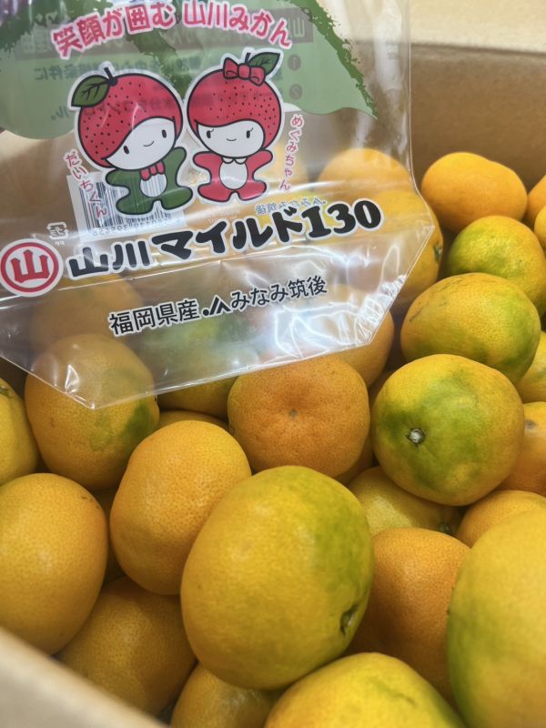 [無籽皮薄香甜多汁]日本福岡蜜柑嚐鮮袋 日本福岡蜜柑嚐鮮袋