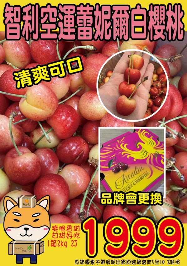 [脆甜清爽超人氣][品牌會更換]智利空運蕾妮爾白櫻桃整箱裝 Chile Rainier Cherries 智利櫻桃,空運櫻桃,紐西蘭櫻桃,塔斯馬尼亞櫻桃,紅櫻桃,白櫻桃