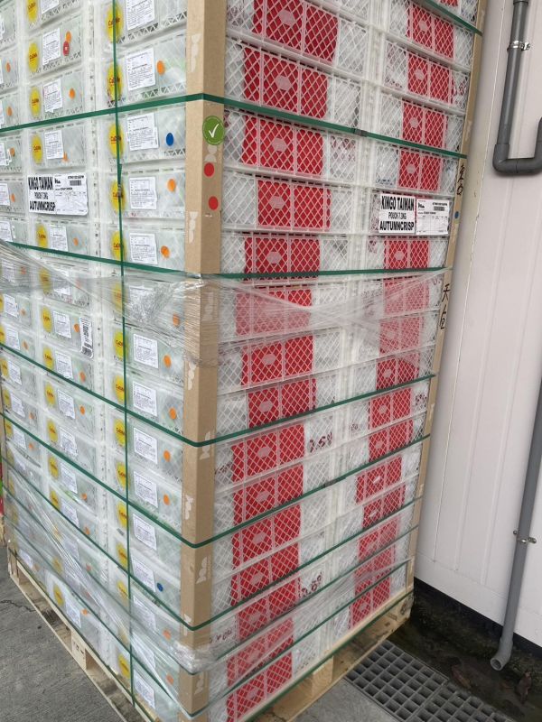 [清爽甘甜香氣特別]CADIME秋脆 CADIME秋脆