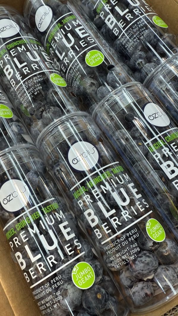 祕魯管裝藍莓 祕魯管裝藍莓