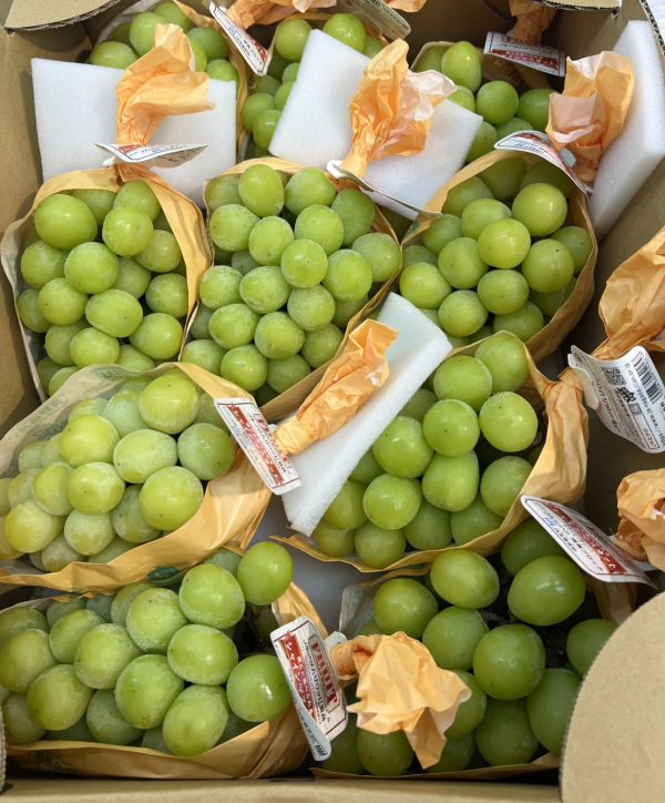 [甘甜香氣佳][整串優惠規格]日本長野麝香葡萄 シャインマスカット 日本麝香,麝香葡萄,シャインマスカット