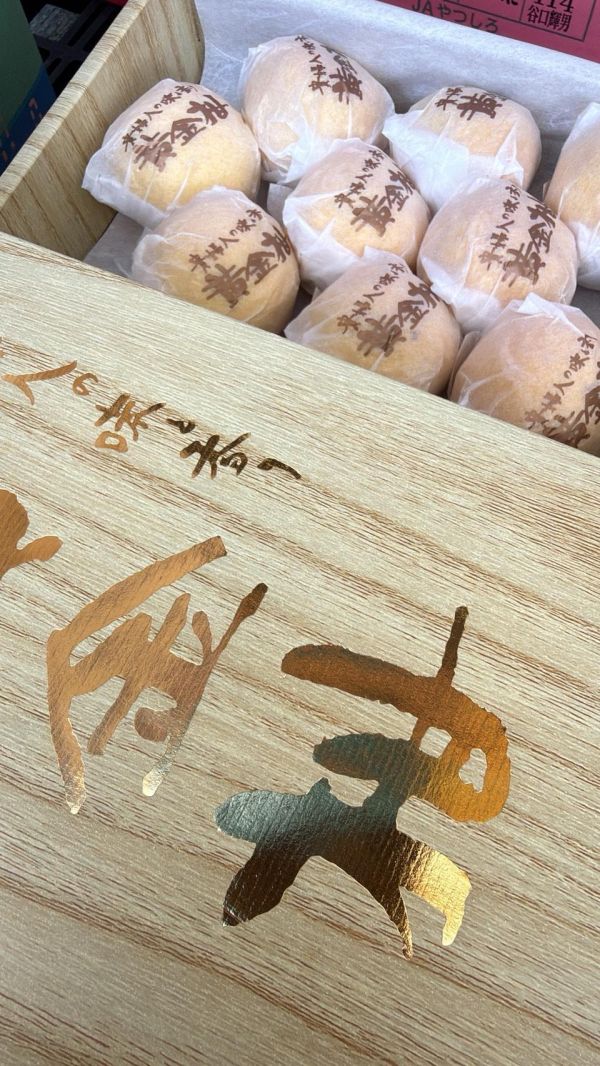 [清甜爽口檸檬香氣][禮盒式]日本鹿兒島貴婦人黃金柑 黄金柑 おうごんかん 鹿兒島黃金柑,貴婦人柑,貴夫人