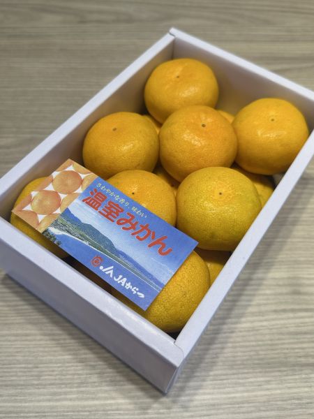 [無籽皮薄香甜多汁][禮盒式]日本佐賀東溫室蜜柑 佐賀温室みかん 和歌山蜜柑,日本小橘子,日本蜜柑,溫室蜜柑,有田,佐賀蜜柑, 福岡蜜柑,北原早生,きたはらわせ,山川蜜柑