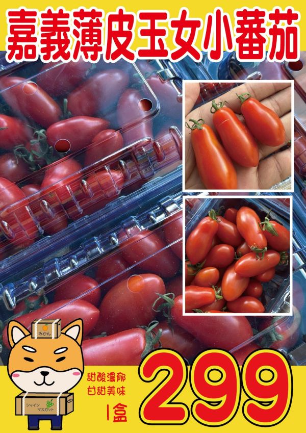 [皮薄甘甜]嘉義薄皮玉女小番茄 嘉義玉女小番茄,小番茄,玉女番茄