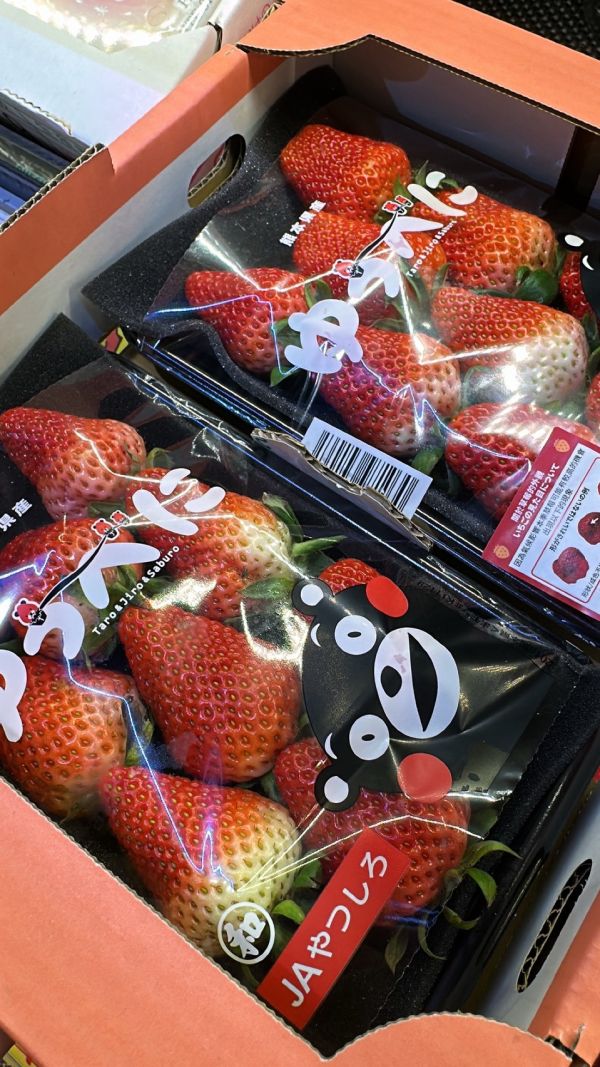 日本熊本草莓1盒2盤入 熊本産いちご ゆうべに 恋みのり ひのしずく 日本草莓,熊本草莓,いちご