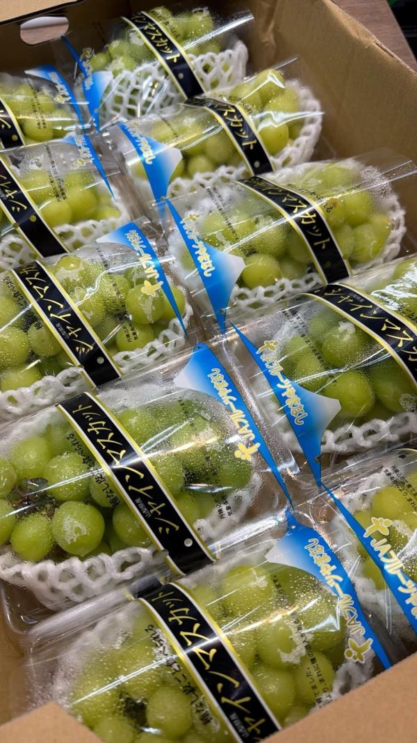 [香甜爽脆][嚐鮮盒]日本山梨麝香葡萄嚐鮮盒 シャインマスカット 日本葡萄嚐鮮盒