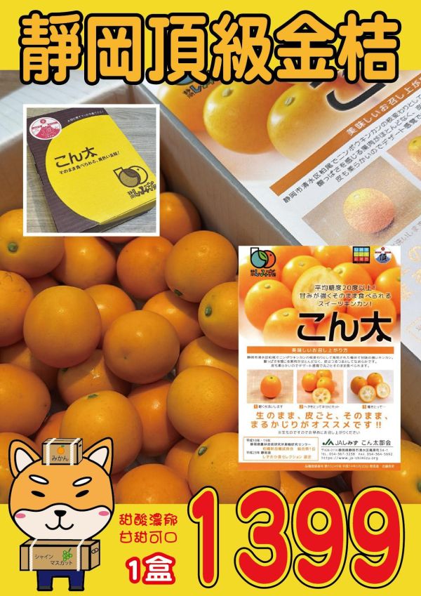 [連皮可食甜酸均衡]日本靜岡頂級金桔 日本靜岡頂級金桔