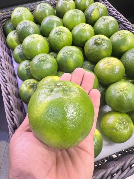 [甜酸濃郁當季限定]台南李仔園綠皮椪柑 