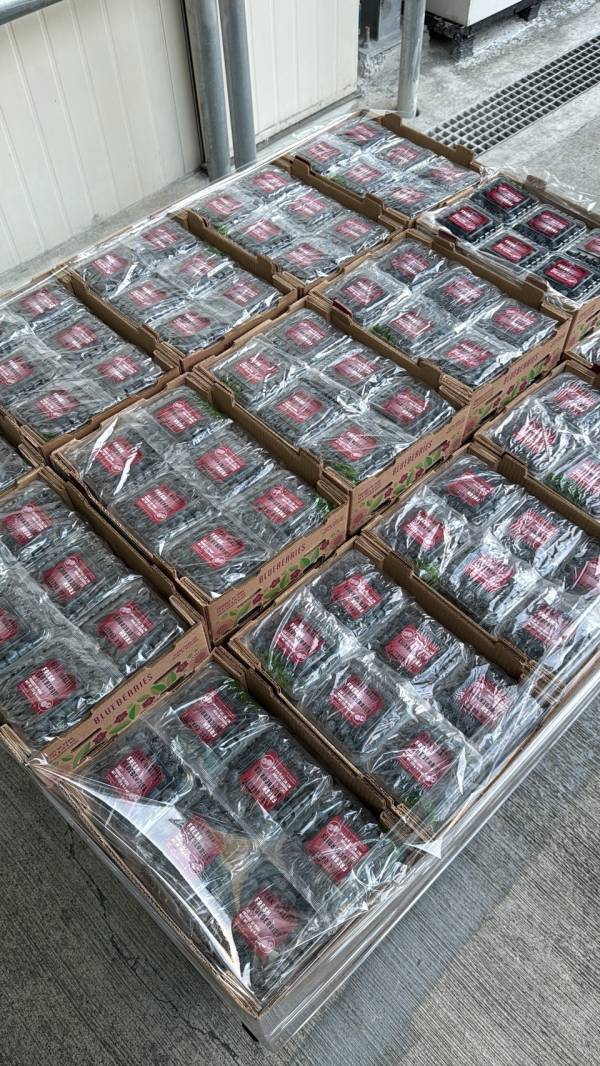 [甜酸均衡香氣佳]祕魯中果藍莓 Peru Blueberries 藍莓,祕魯中果藍莓,花青素