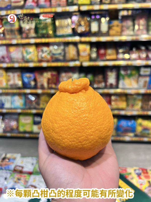 [厚實多汁香甜濃郁]日本愛媛道後物語凸頂柑 デコポン 不知火柑 愛媛蜜柑,日本蜜柑,日本小橘子,凸頂柑,醜柑,不知火柑