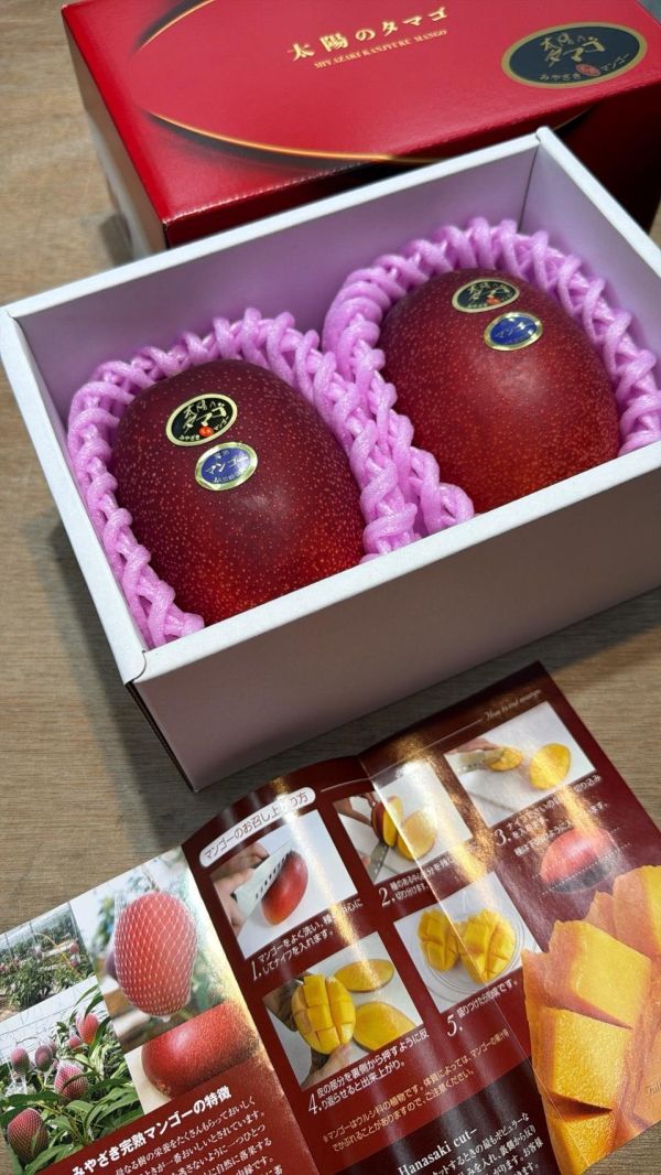 [頂級品質 果肉飽滿]日本宮崎太陽之子芒果 日本宮崎太陽之子芒果