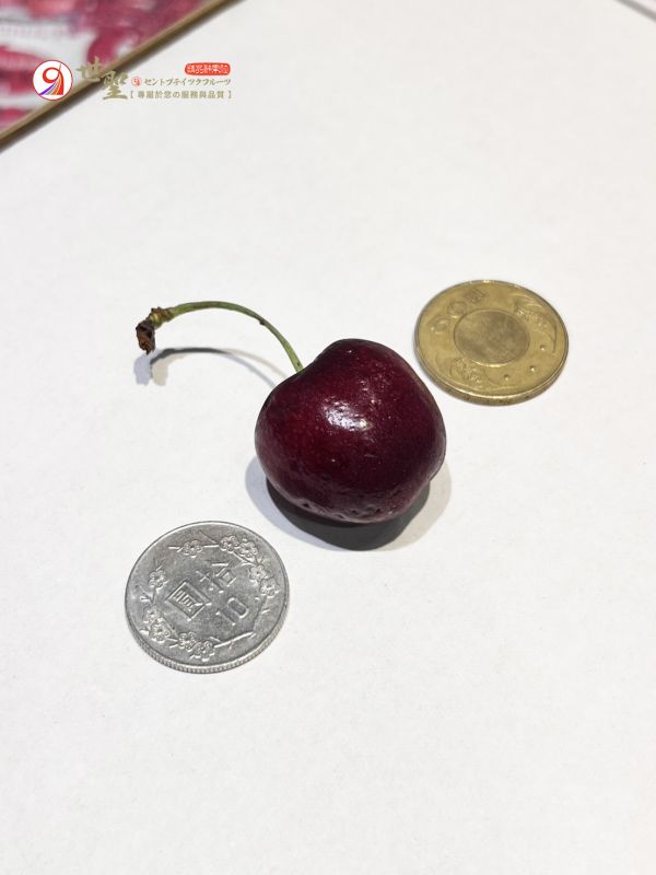 [甜酸濃郁超人氣][嚐鮮盒]美國華盛頓空運櫻桃 US-WA Cherries 西北櫻桃 加州櫻桃,華盛頓櫻桃,美國櫻桃,西北櫻桃