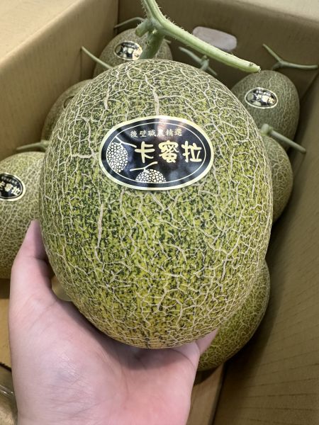 [獨特清脆甘甜感][可加購禮盒]台南後壁卡蜜拉橘肉哈密瓜 卡蜜拉哈密瓜,卡蜜拉洋香瓜,極光哈密瓜