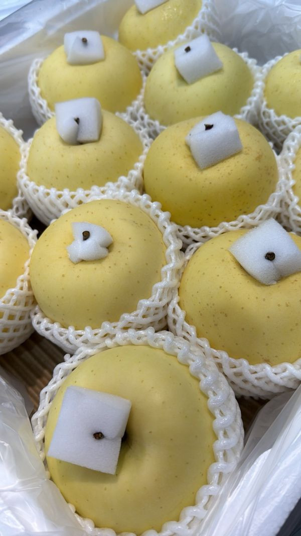 [皮肉細緻甘甜不酸]日本金星蘋果 日本金星蘋果