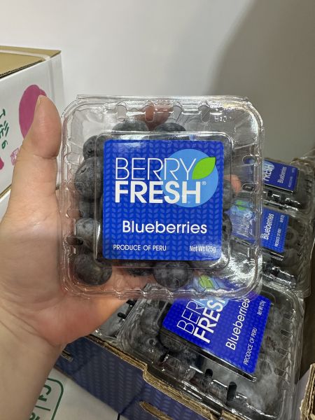 [甜酸均衡香氣佳]祕魯大果藍莓 Peru Blueberries 藍莓,祕魯大果藍莓,花青素