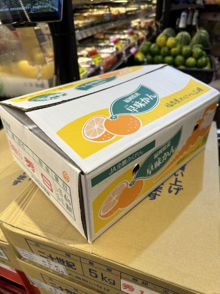 [甜酸濃郁]福岡蜜柑家庭號4kg 福岡蜜柑家庭號4kg