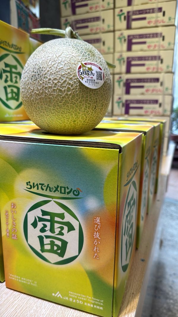 [綿軟香甜風味濃郁]日本北海道赤肉哈密瓜 とままえメロン 