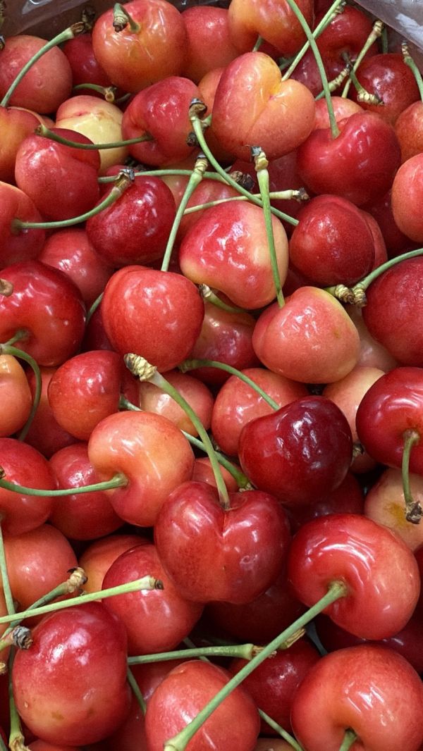 [甜酸濃郁]智利空運櫻桃雙拼 智利空運櫻桃雙拼