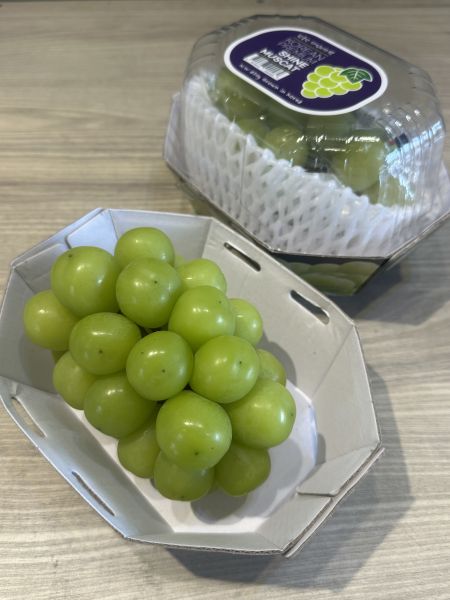 [質感Q彈清爽甘甜][盒裝]韓國麝香葡萄 