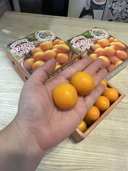 [清甜爽口香氣絕佳]日本鹿兒島排排站金柑禮盒 金桔 日本鹿兒島排排站金柑禮盒