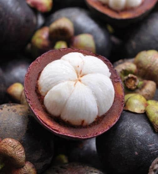 [清爽甘甜超人氣][鮮果非冷凍]泰國空運鮮果山竹盒裝 Mangosteen 泰國空運鮮果山竹盒裝