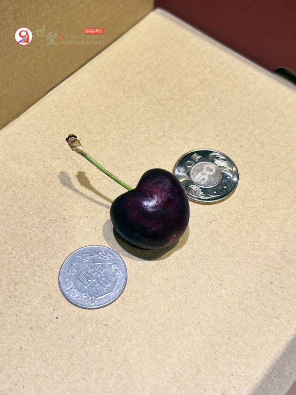 [甜酸濃郁超人氣][禮盒式]美國華盛頓空運櫻桃 US-WA Cherries 加州櫻桃,華盛頓櫻桃,美國櫻桃,西北櫻桃
