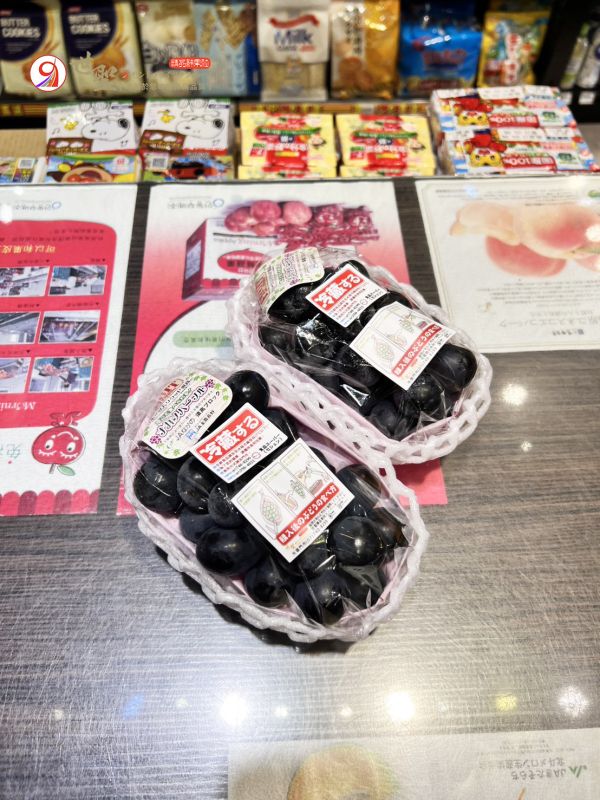 [甘甜醇厚連皮不澀][整串][可加購禮盒]日本長野溫室黑鑽紫葡萄 ナガノパープル 長野紫葡萄 泡泡葡萄 長野紫葡萄,日本葡萄,日本黑葡萄,貓眼,巨峰,無籽葡萄,高級葡萄,シャインマスカット,麝香葡萄,ナガノパープル,泡泡葡萄,泡泡糖葡萄