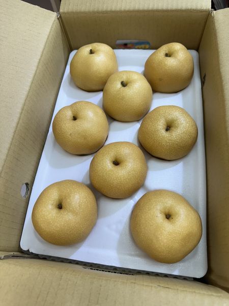 [果肉細緻清脆多汁]台中東勢豐水梨 高接梨 台中東勢豐水梨