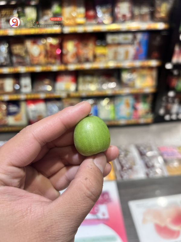 [甜酸濃郁整顆吃]紐西蘭寶貝奇異果 奇異果莓 Kiwiberry Baby Kiwi 寶貝奇異果,紐西蘭奇異果,Kiwiberry,Baby Kiwi,奇異果莓