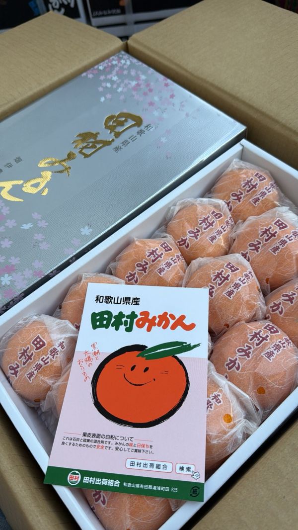 [甘甜多汁香氣十足][禮盒]日本和歌山櫻花銀田村蜜柑禮盒 日本和歌山櫻花銀田村蜜柑禮盒