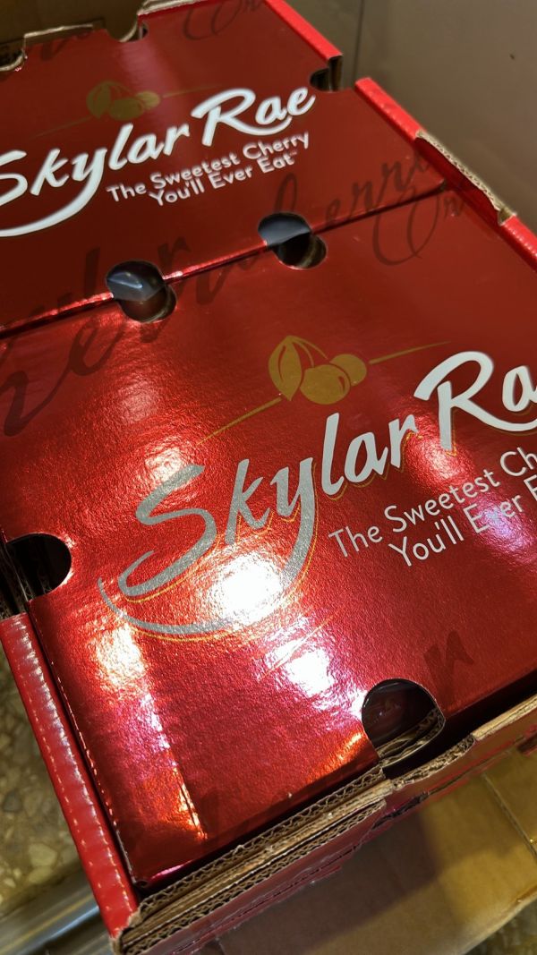 [甜酸濃郁]智利空運SKYLAR RAE草莓白櫻桃 智利空運SKYLAR RAE草莓白櫻桃