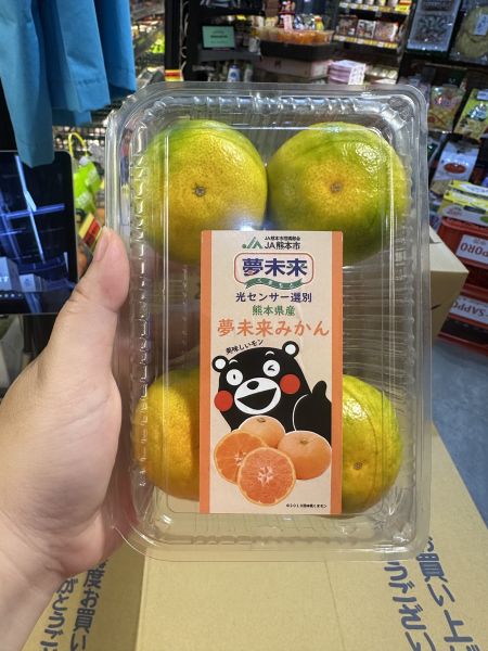 [甜酸濃郁]熊本早生蜜柑嚐鮮盒 熊本早生蜜柑嚐鮮盒