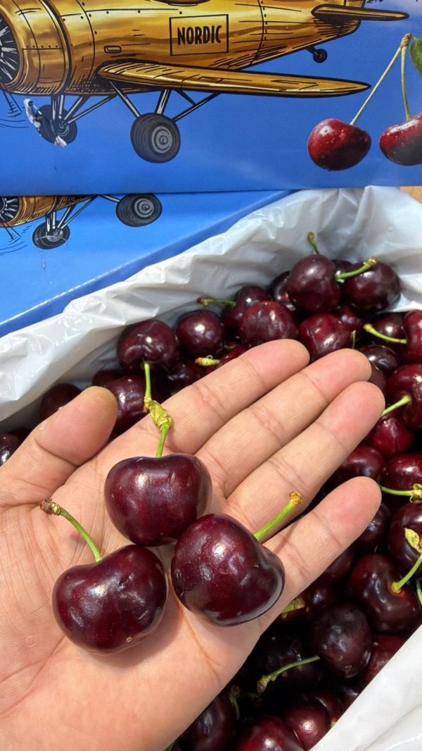 [甘甜濃郁][5kg原裝箱]美國華盛頓空運櫻桃原裝箱 美國華盛頓空運北極熊櫻桃原裝箱