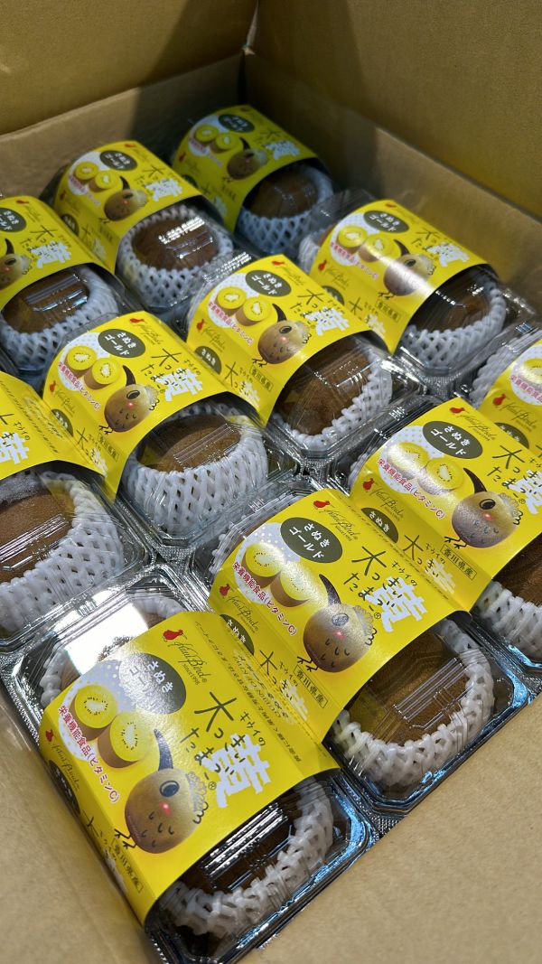 [質感厚實甘甜芳香]日本香川黃金奇異果 キウイの大っきいたまご 奇異鳥金奇異果 さぬきゴールド 日本香川黃金奇異果