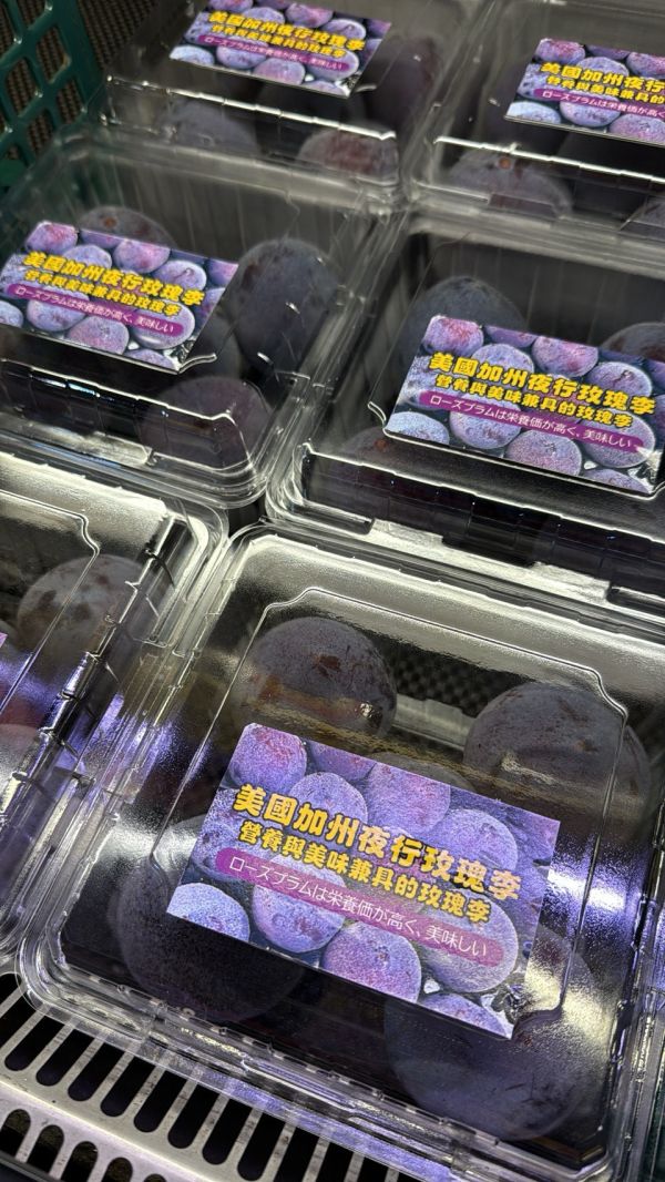 [果肉厚實甘甜多汁]美國加州夜行玫瑰李 Midnight Rose 夜玫瑰李 午夜玫瑰 美國加州夜行玫瑰李
