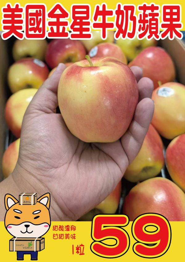 [紅潤爽脆甘甜不酸]美國金星牛奶蘋果 美國金星牛奶蘋果